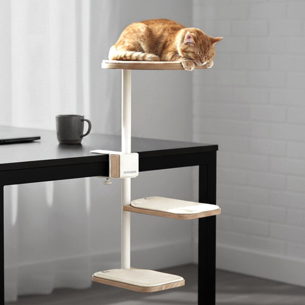 PETCOBON Cat Dest Step
