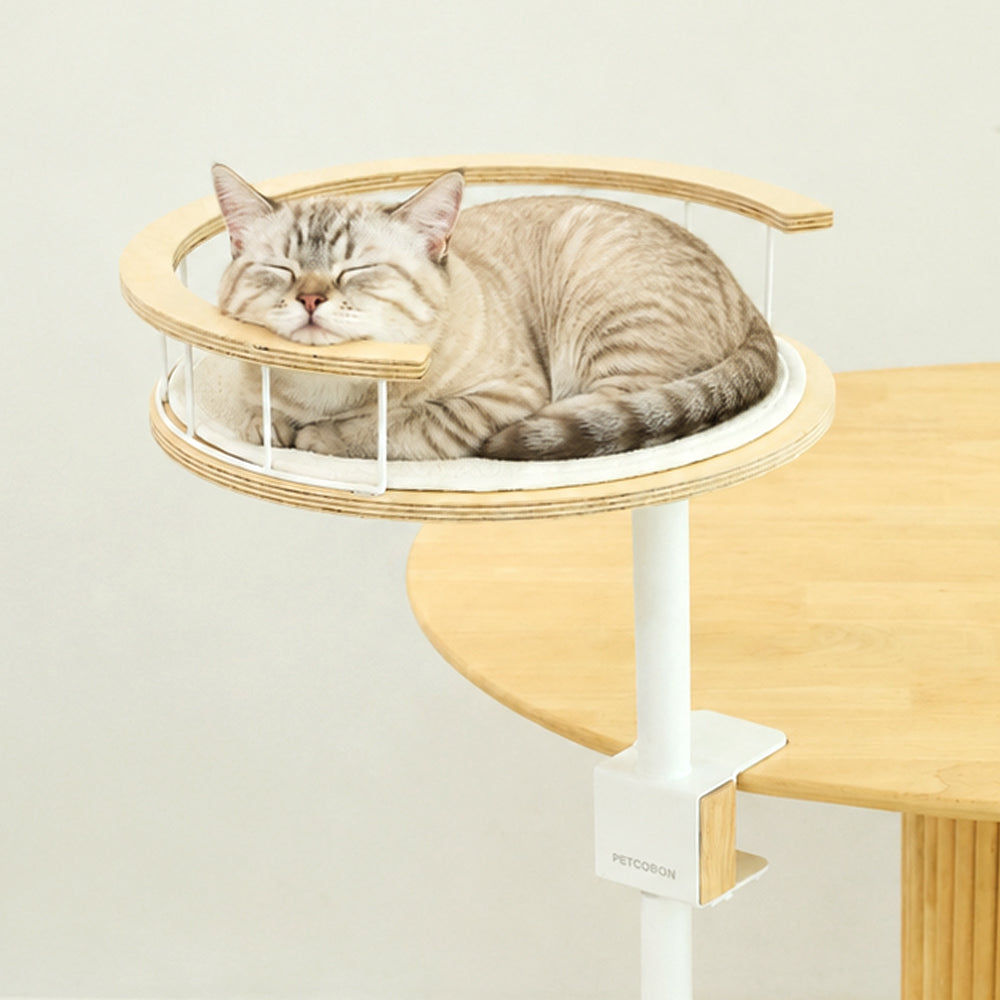 PETCOBON Cat Dest Step