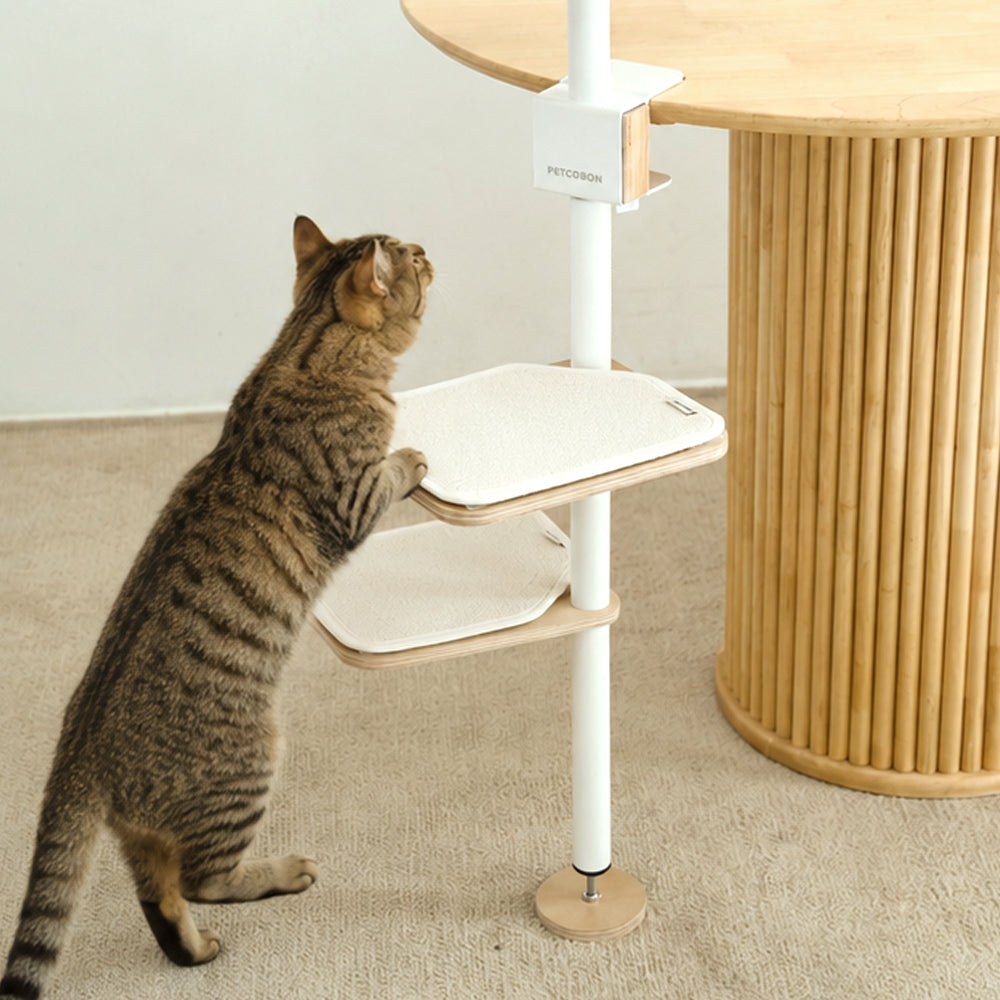 PETCOBON Cat Dest Step