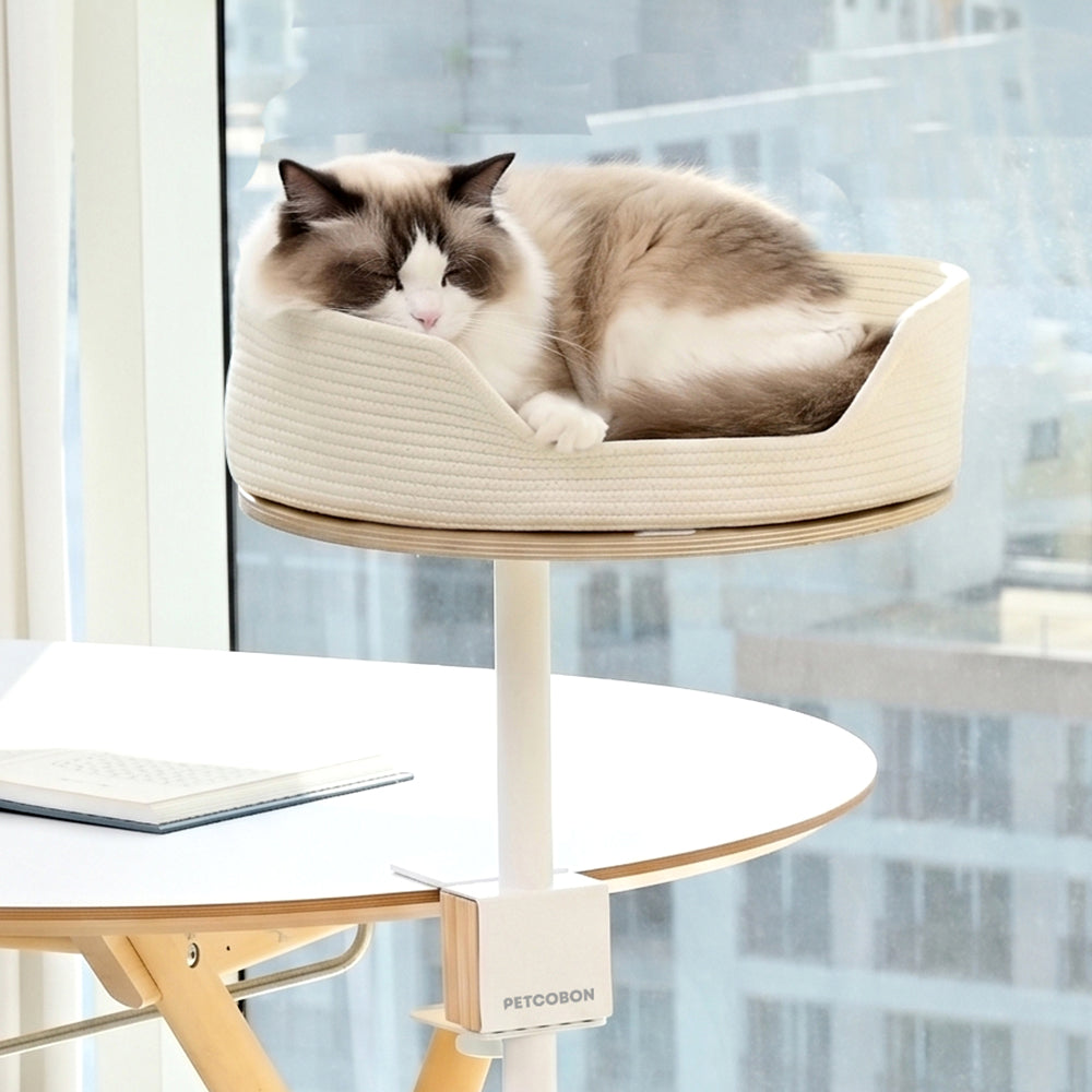 PETCOBON Cat Dest Step