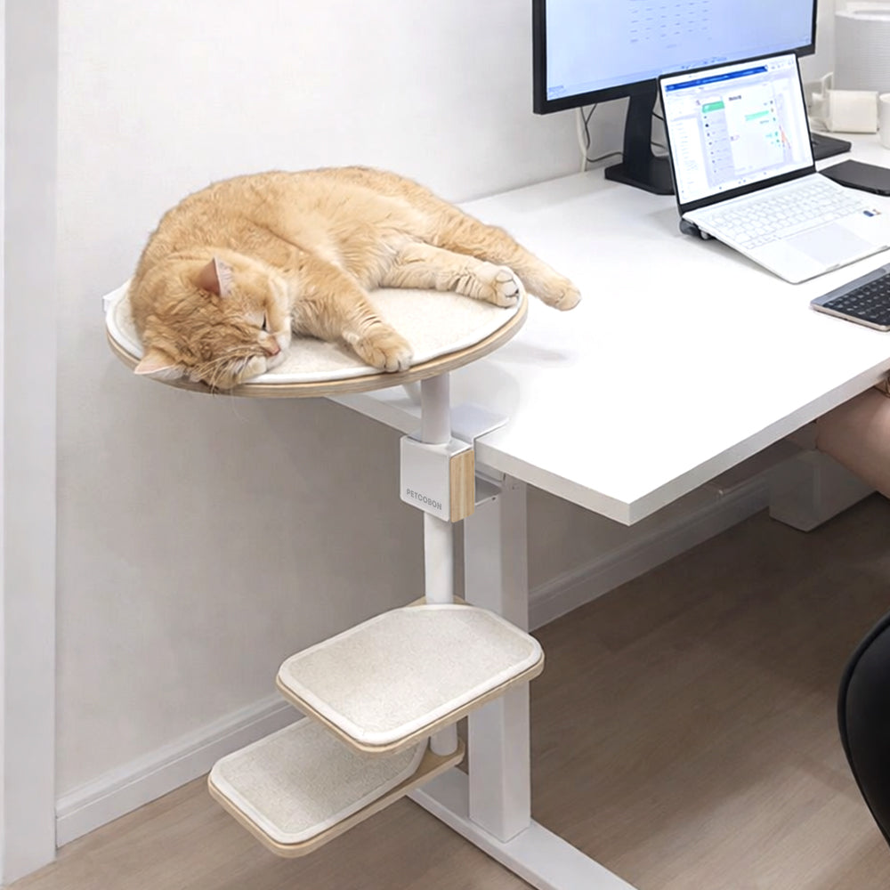 PETCOBON Cat Dest Step