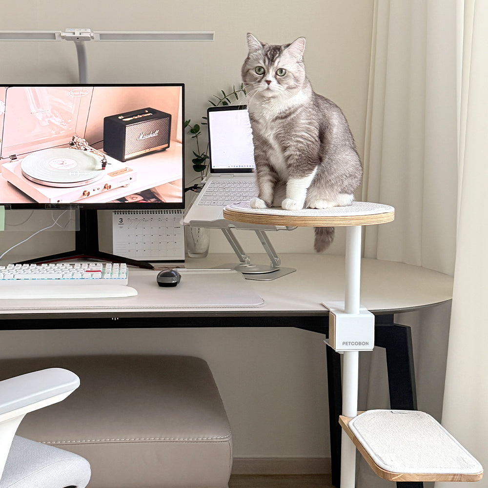 PETCOBON Cat Dest Step