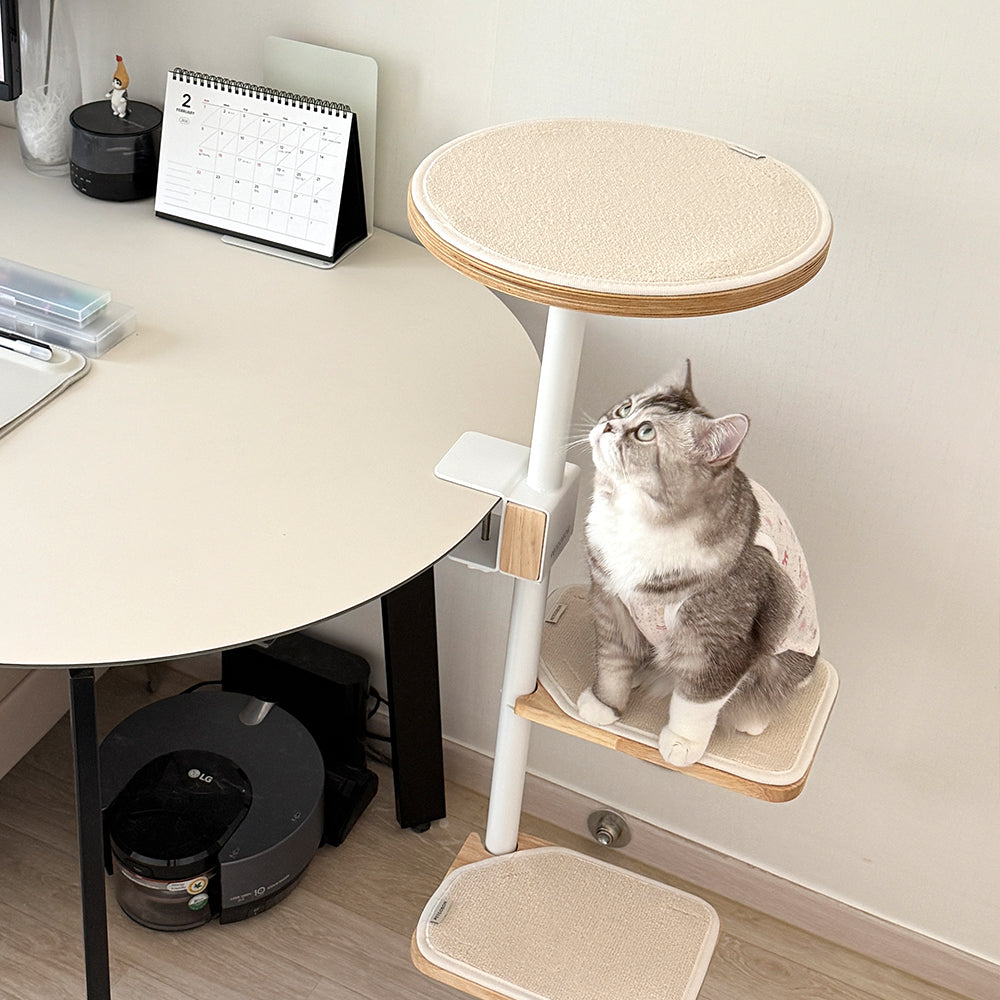 PETCOBON Cat Dest Step