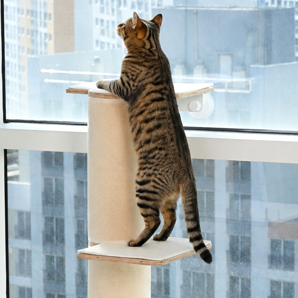 PETCOBON Window Scaratcher Cat Tower