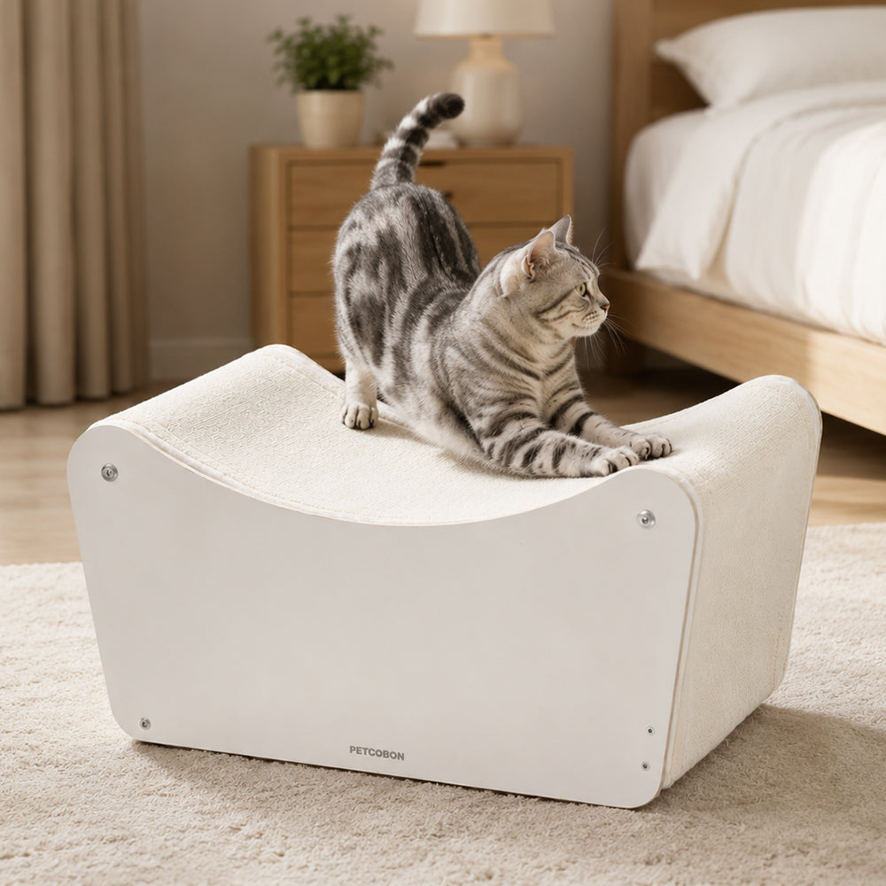 PETCOBON Kitty Hideaway Cave Rest Scratcher