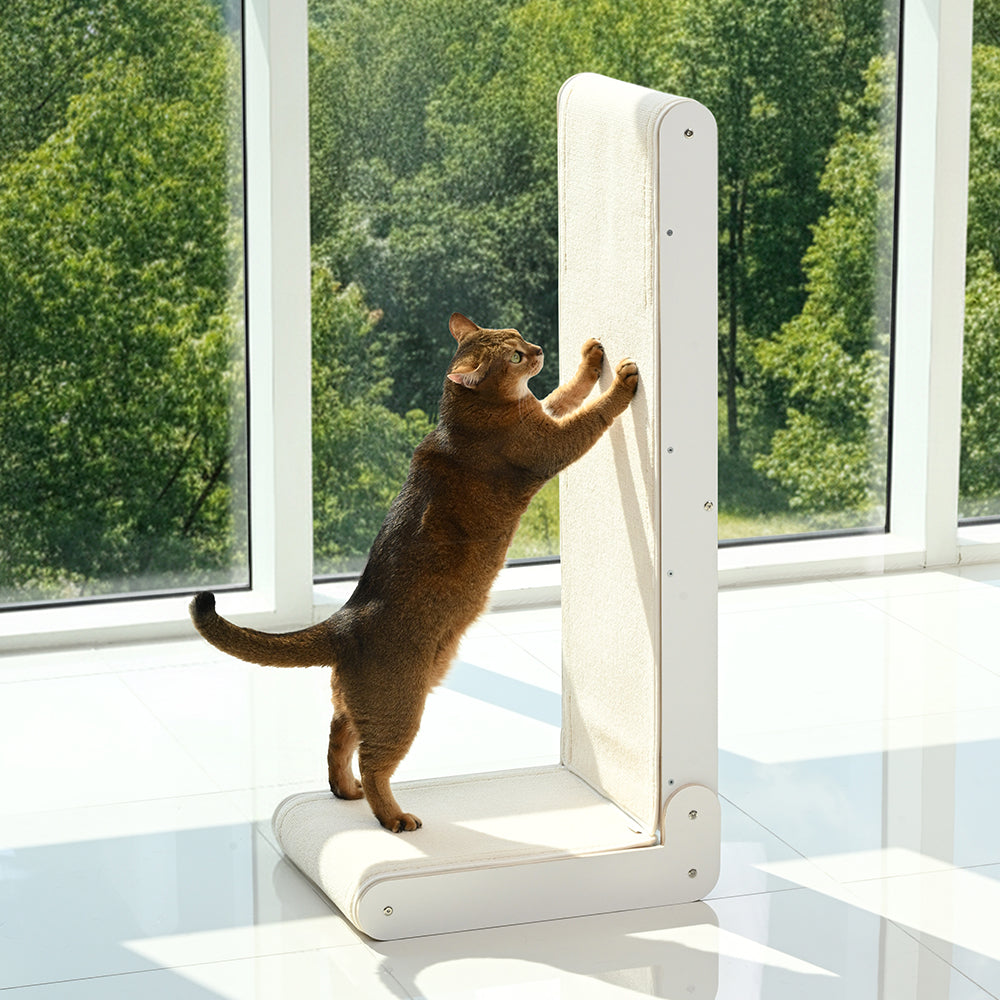 PETCOBON  L-rest scratcher
