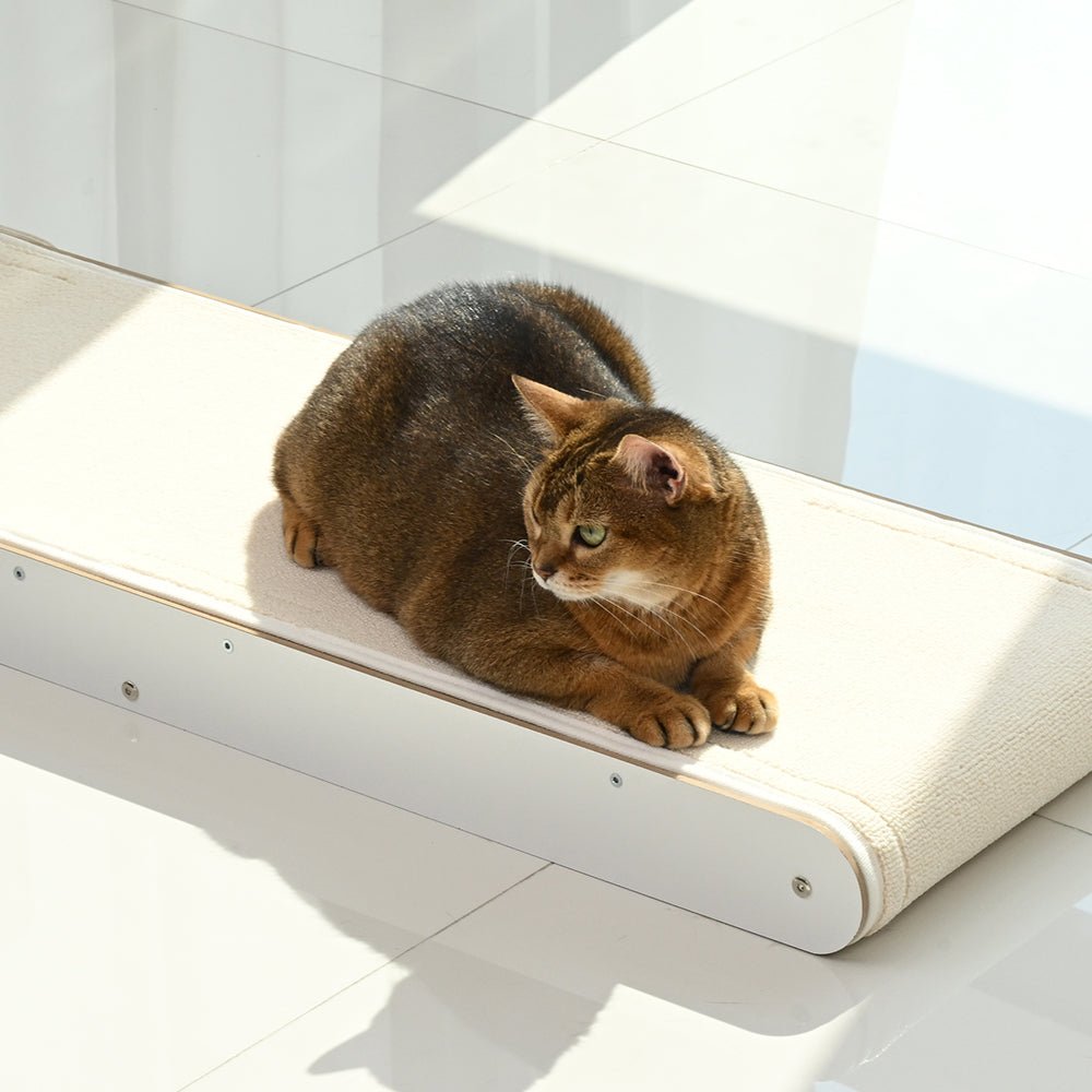 PETCOBON  L-rest scratcher
